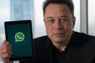 WhatsApp Adds New Creative Tools to Status Updates: Layouts, Music Stickers & More
